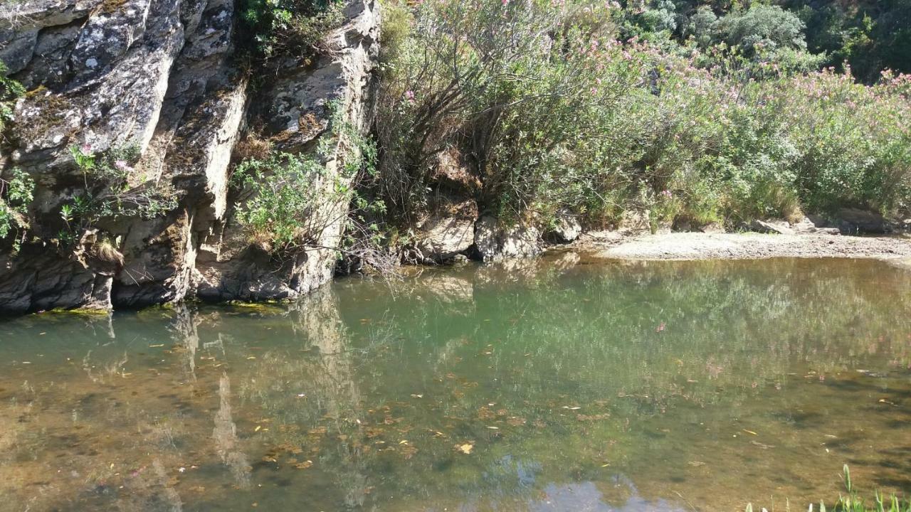 Agroturismo Flores Do Campo Villa Vila Verde de Ficalho Dış mekan fotoğraf